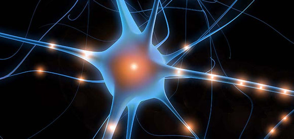 Central Nervous System Agents