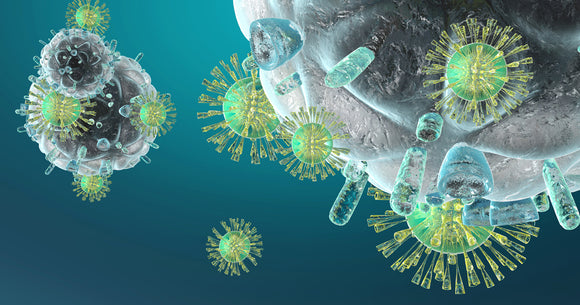 Immune Function Agents